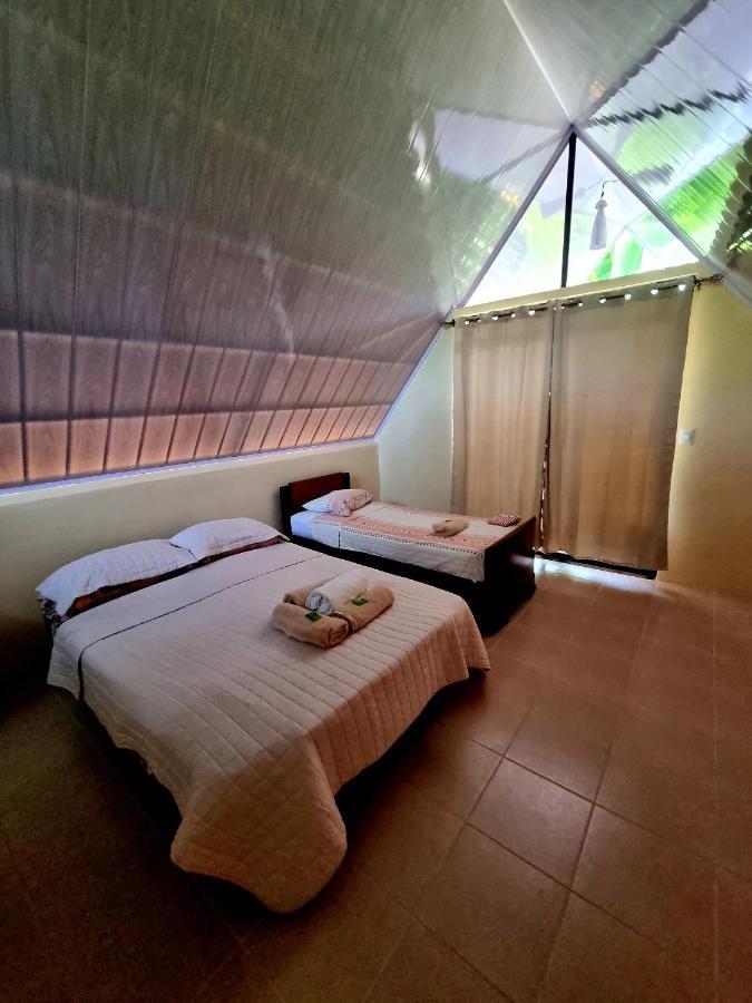Ballena Oasis Homes & Glamping ウビタ エクステリア 写真