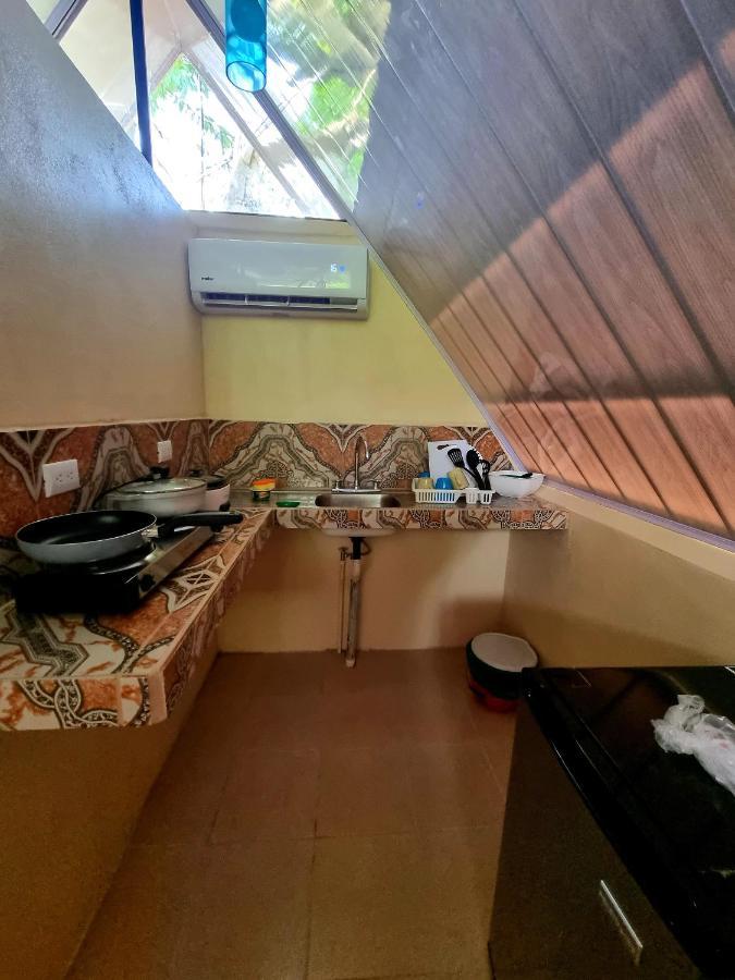 Ballena Oasis Homes & Glamping ウビタ エクステリア 写真
