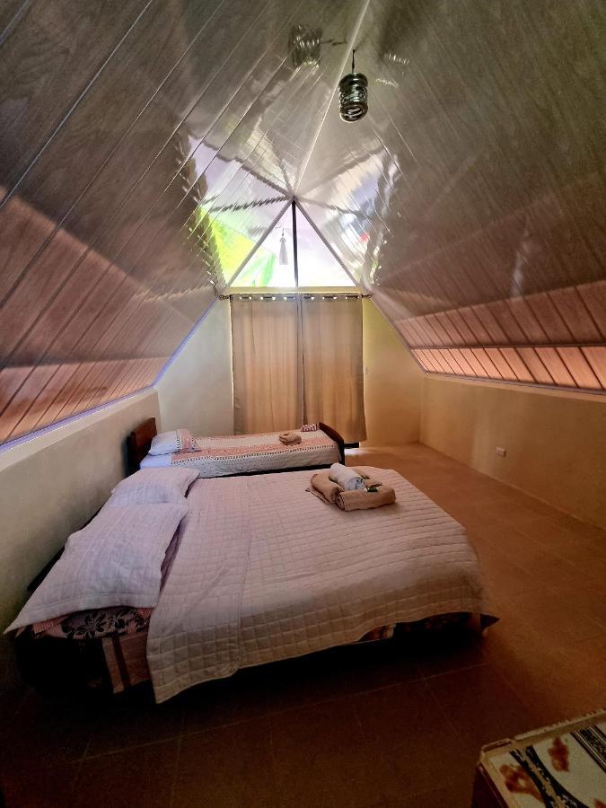 Ballena Oasis Homes & Glamping ウビタ エクステリア 写真