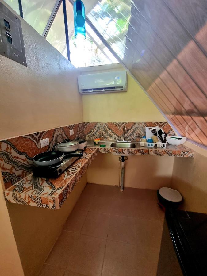 Ballena Oasis Homes & Glamping ウビタ エクステリア 写真