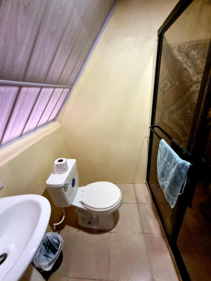 Ballena Oasis Homes & Glamping ウビタ エクステリア 写真