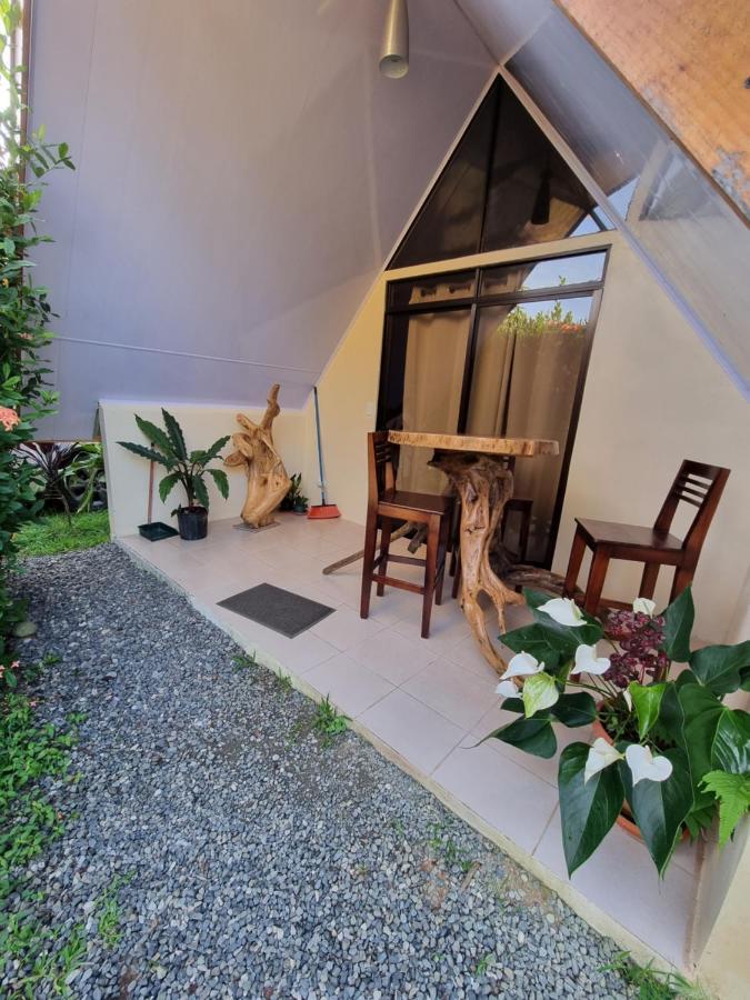 Ballena Oasis Homes & Glamping ウビタ エクステリア 写真
