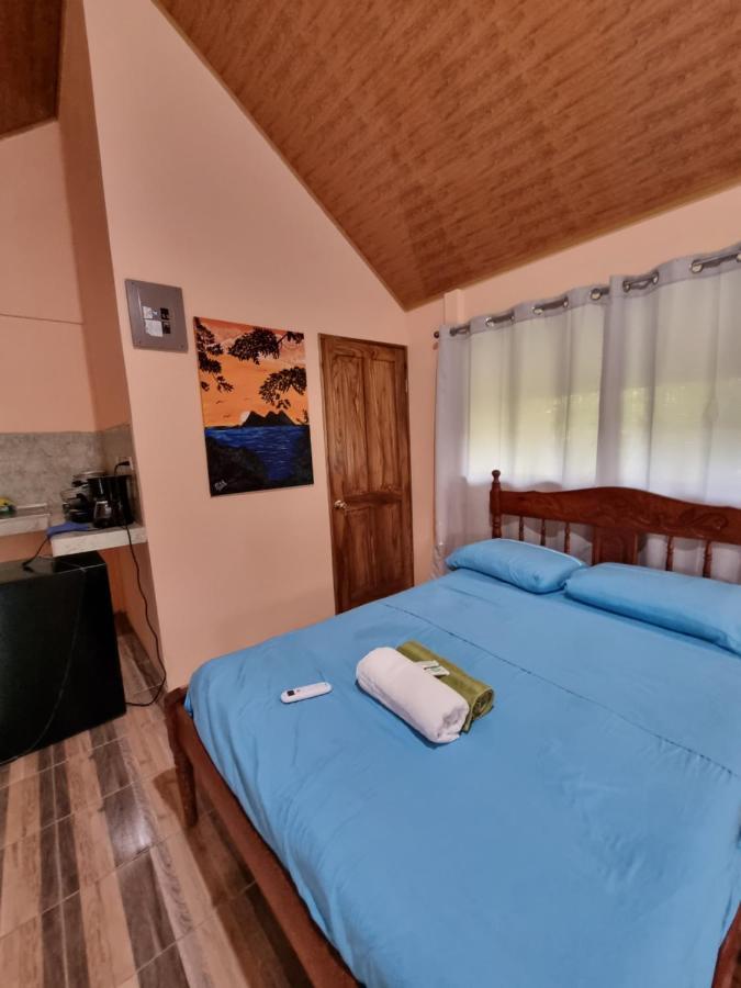 Ballena Oasis Homes & Glamping ウビタ エクステリア 写真
