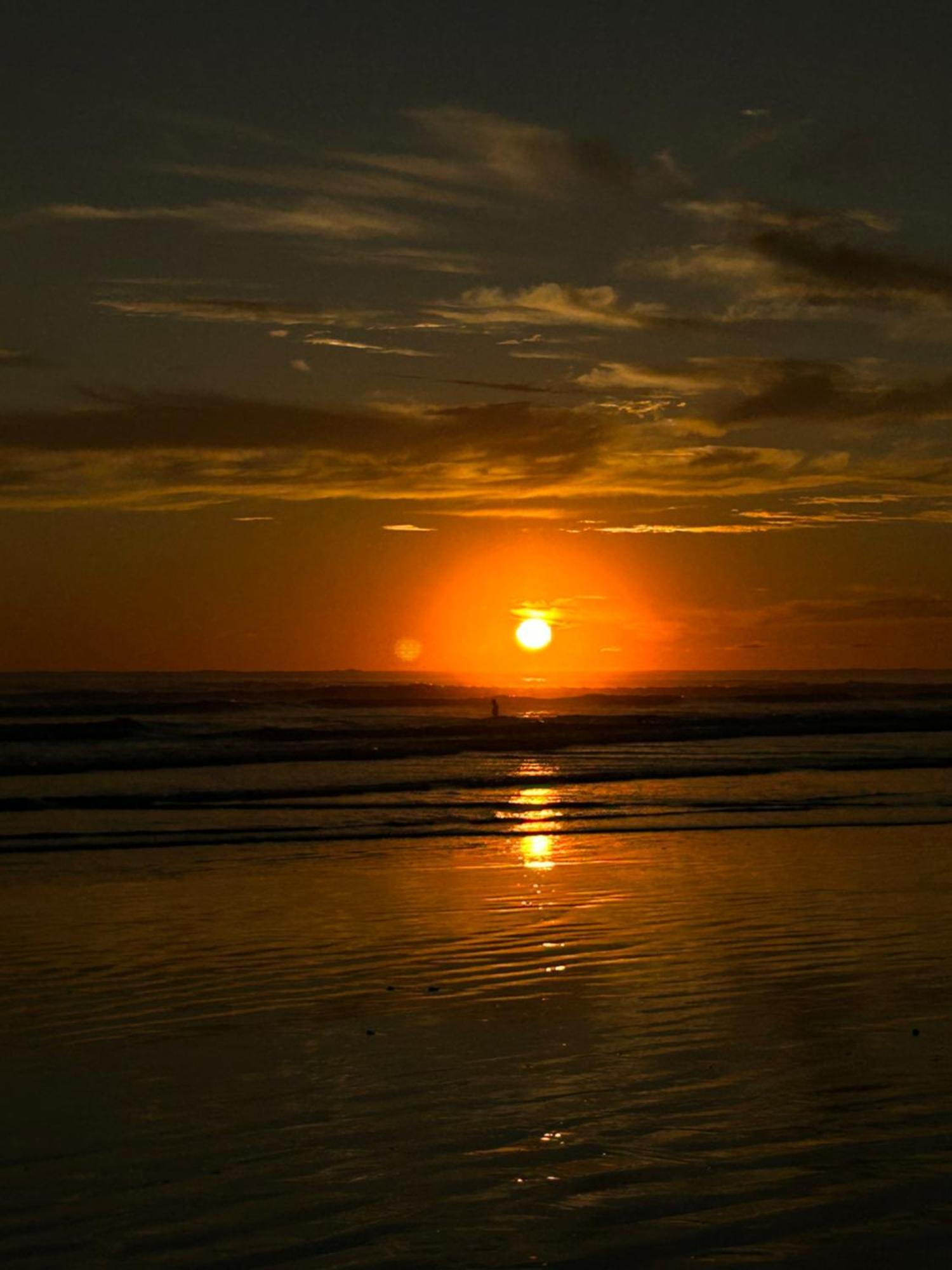 Ballena Oasis Homes & Glamping ウビタ エクステリア 写真