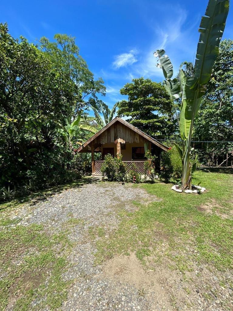 Ballena Oasis Homes & Glamping ウビタ エクステリア 写真