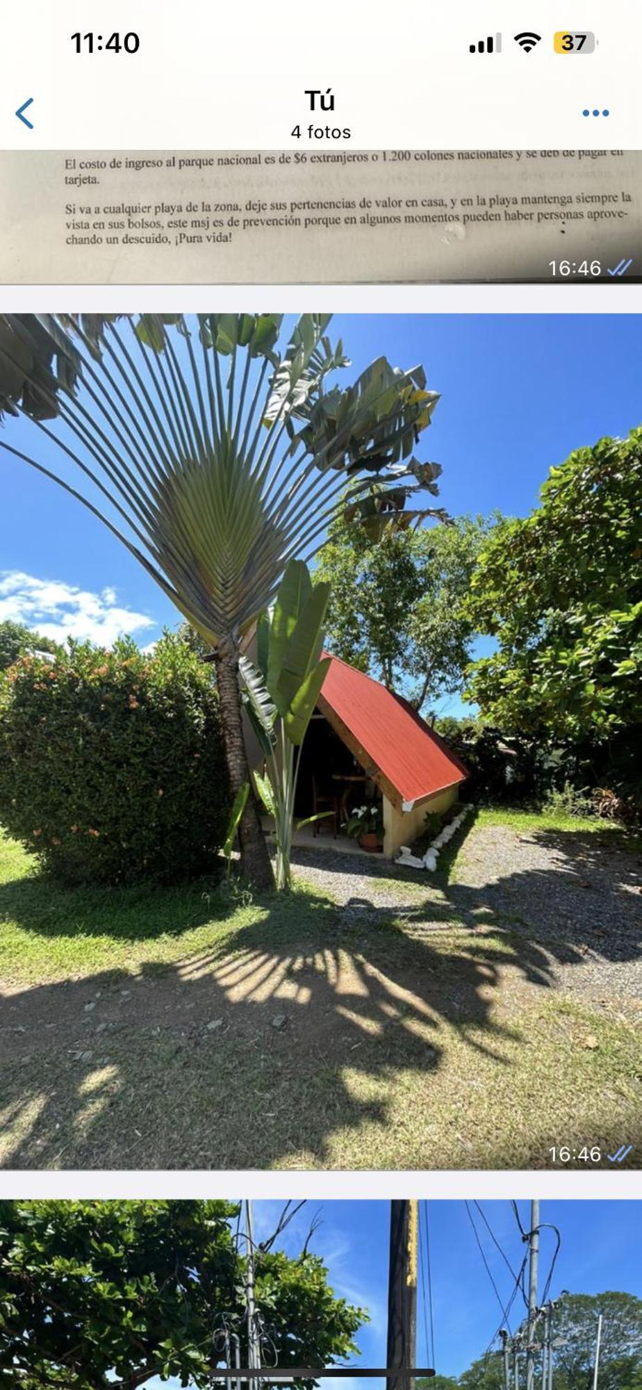 Ballena Oasis Homes & Glamping ウビタ エクステリア 写真