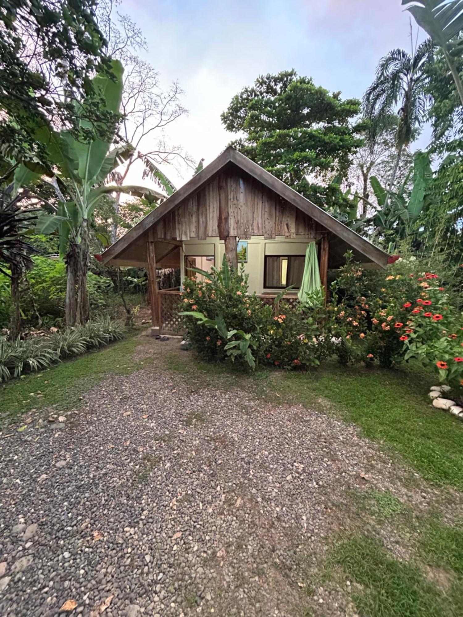 Ballena Oasis Homes & Glamping ウビタ エクステリア 写真