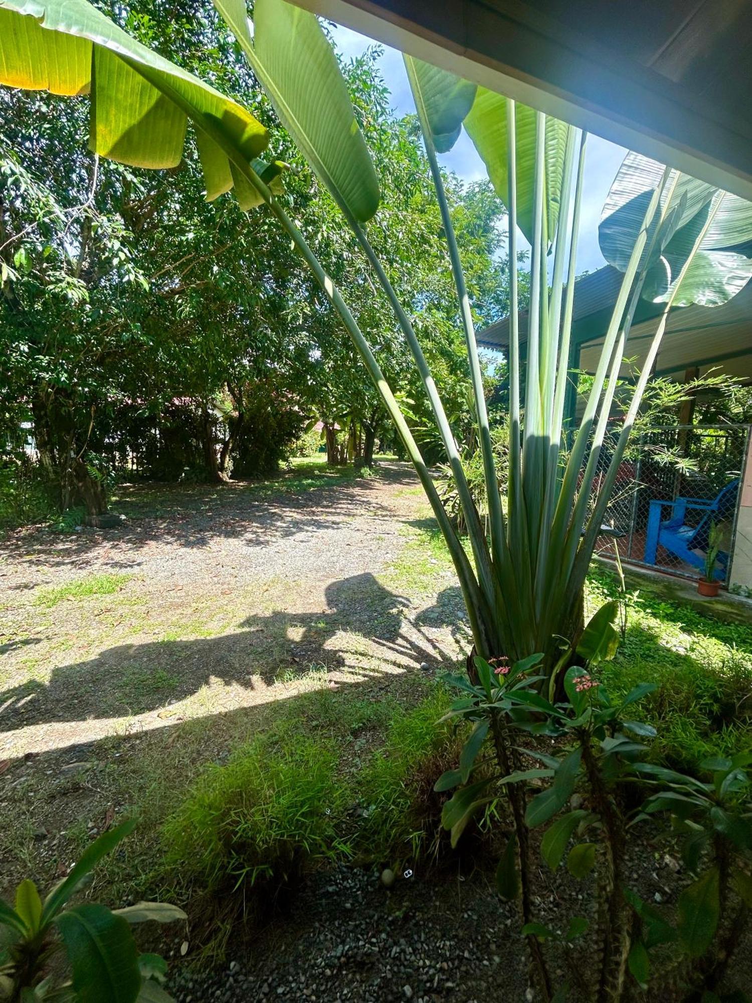 Ballena Oasis Homes & Glamping ウビタ エクステリア 写真