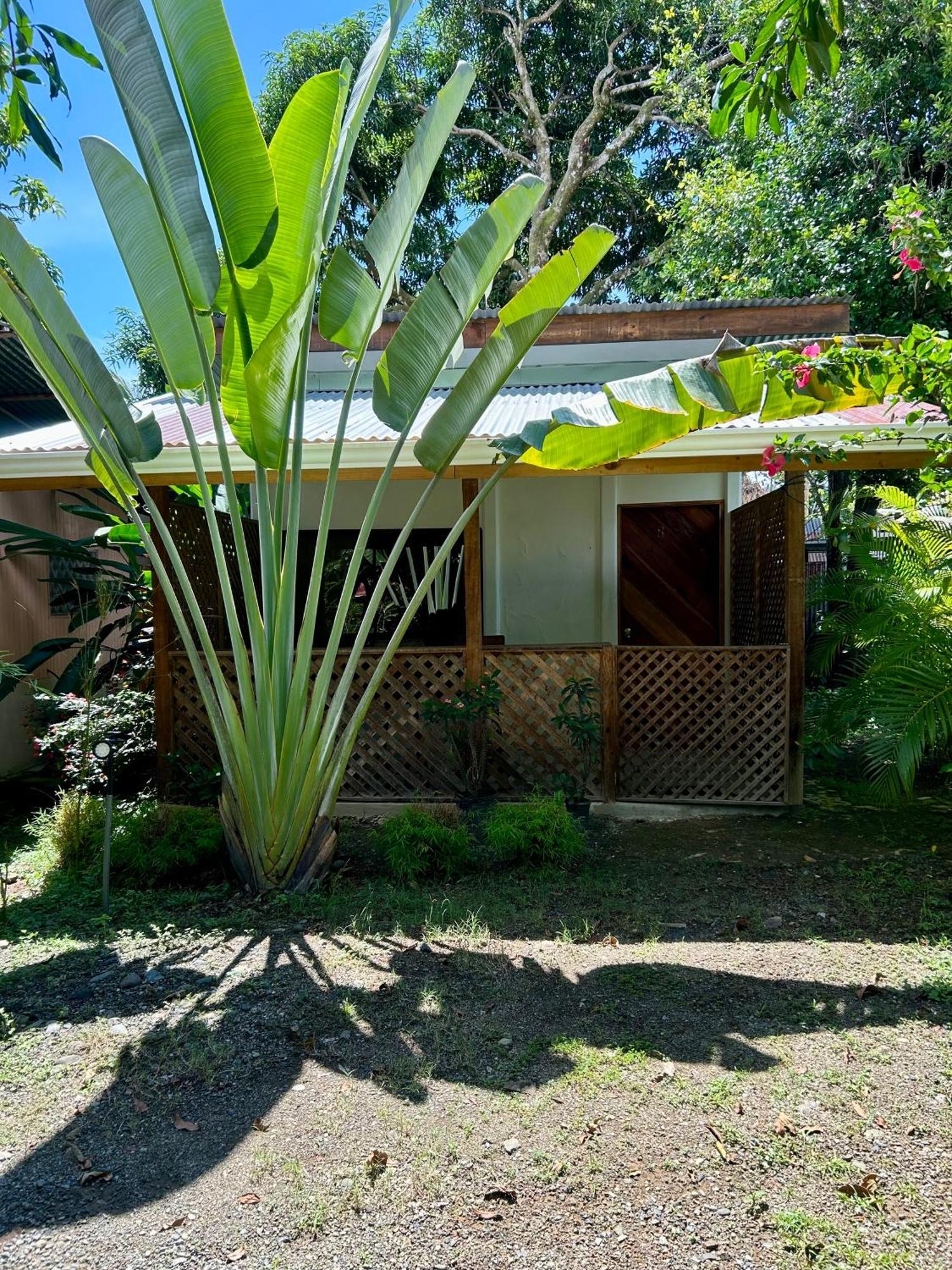 Ballena Oasis Homes & Glamping ウビタ エクステリア 写真
