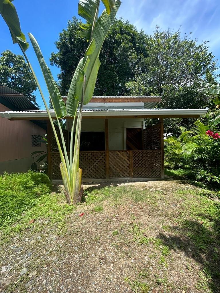 Ballena Oasis Homes & Glamping ウビタ エクステリア 写真