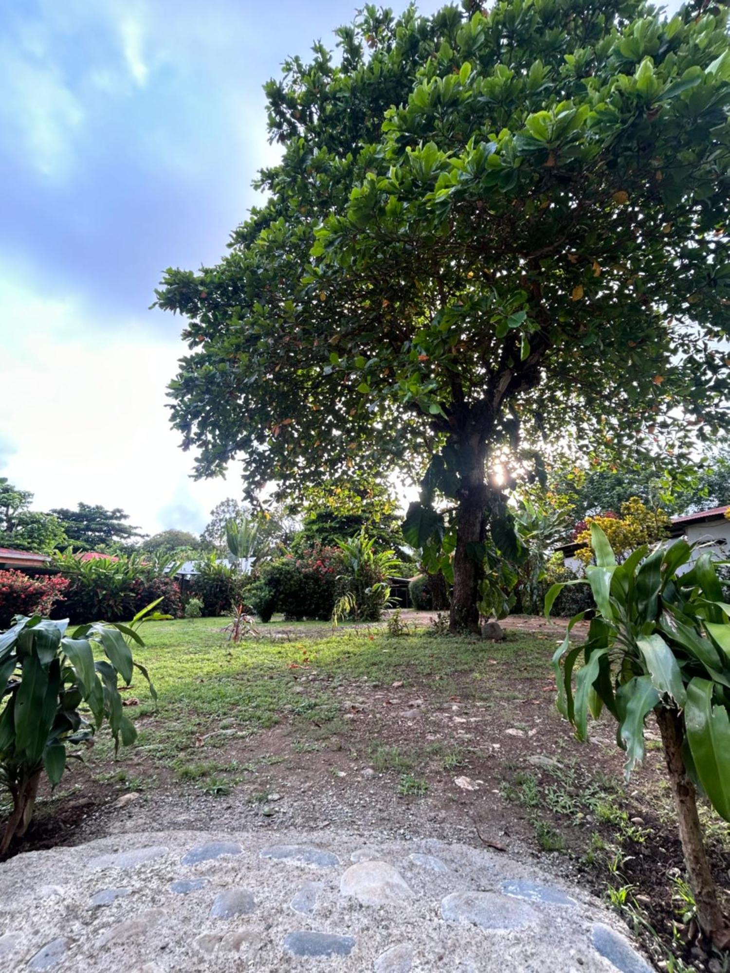 Ballena Oasis Homes & Glamping ウビタ エクステリア 写真