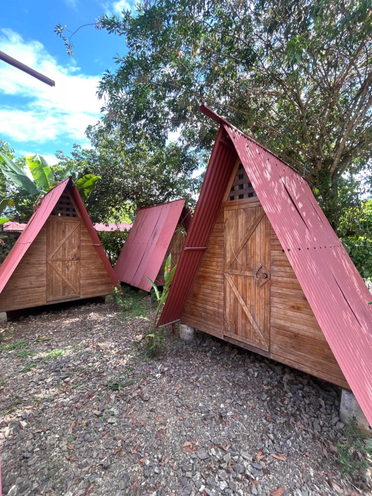 Ballena Oasis Homes & Glamping ウビタ エクステリア 写真