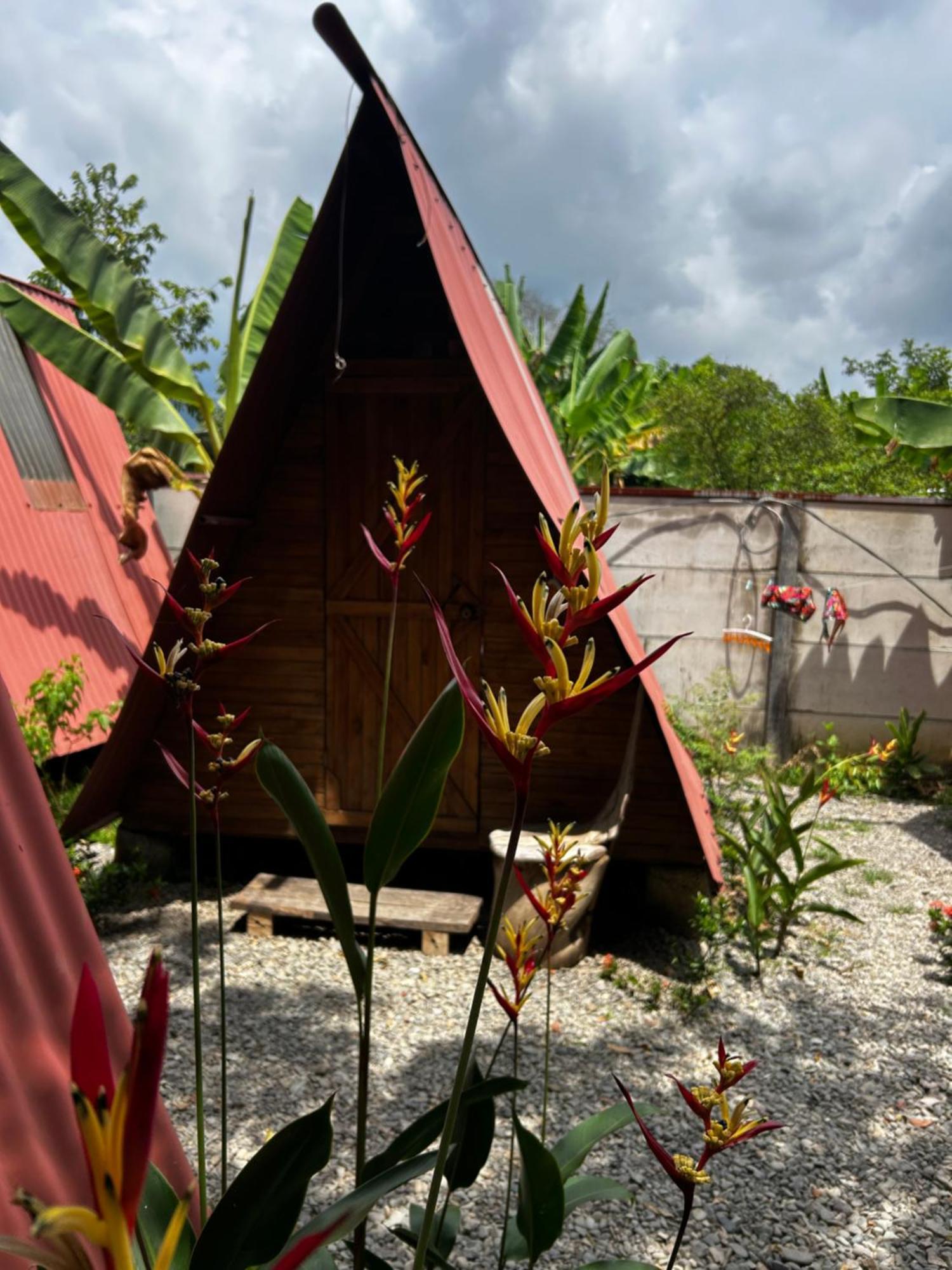 Ballena Oasis Homes & Glamping ウビタ エクステリア 写真